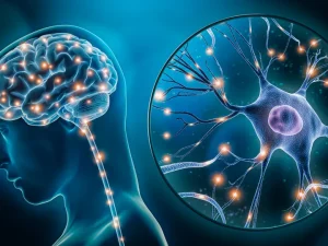 human-brain-with-neuron-close-up.webp